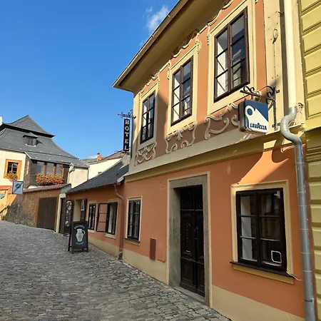 Hrncir Гостевой дом Кутна-Гора